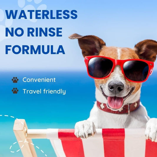 Flazia Pets Natural Waterless Dog Shampoo 100 ml (Pack of 1)