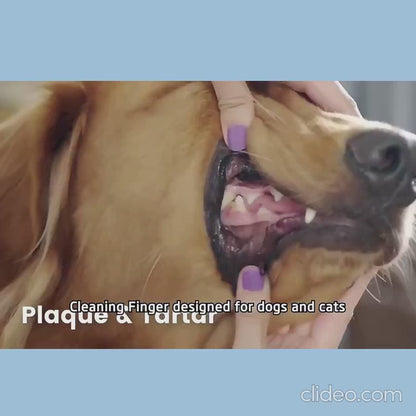 Disposable Dental Finger Wipes For Pets